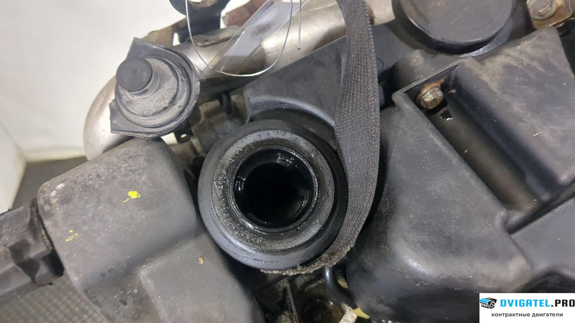 Двигатель Renault Megane 2 2002 - 2009 K9K 732 1.5 л., Дизель, DCI, артикул 8955790