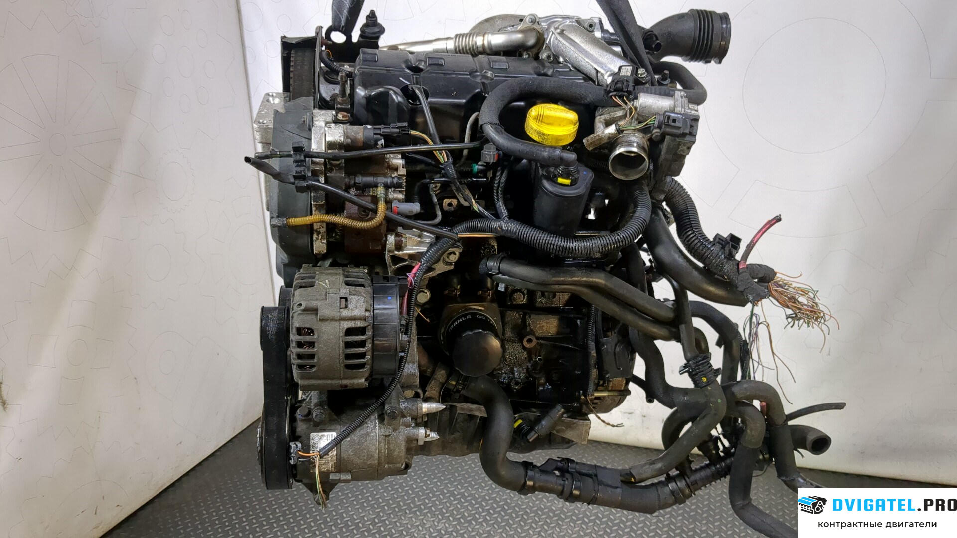 Двигатель Renault Scenic 2003 - 2009 F9Q 804 1.9 л., Дизель, DCI, артикул 8977742
