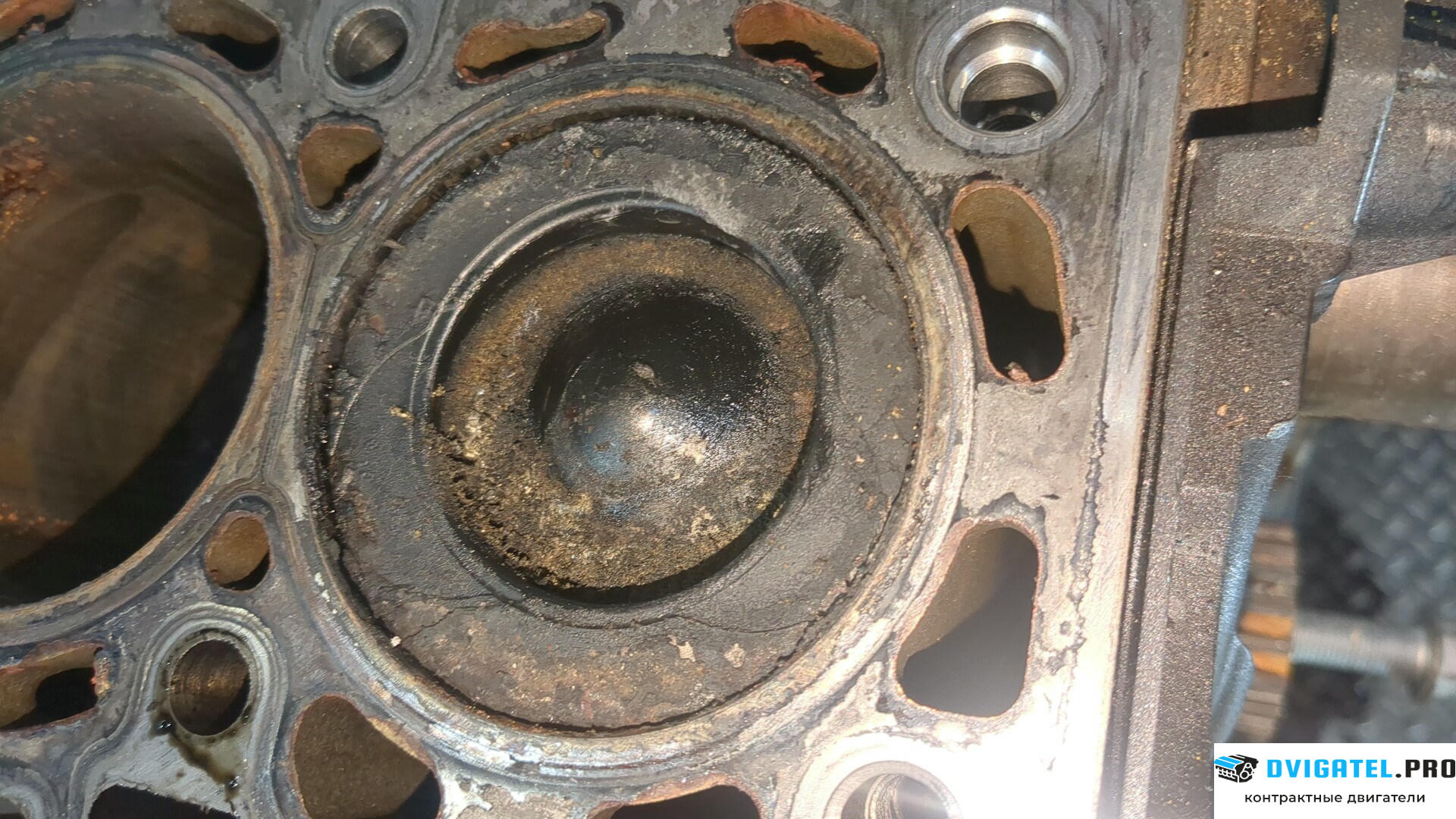 Шорт блок (Блок цилиндров) Renault Megane 2 2002 - 2009 K9K 732 1.5 л., Дизель, DCI, артикул 8950525