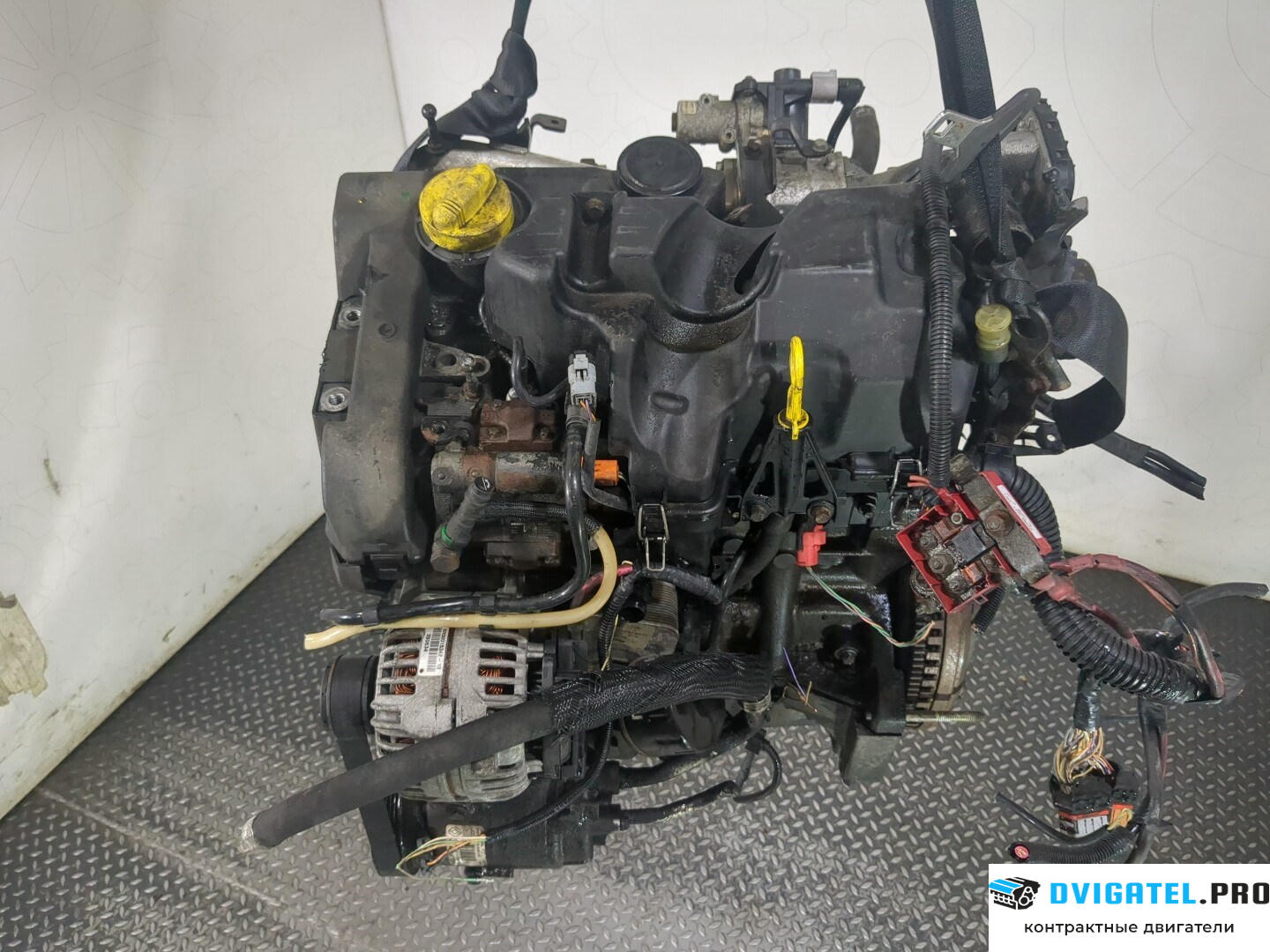 Двигатель Renault Scenic 2003 - 2009 K9K 732 1.5 л., Дизель, DCI, артикул 8601358