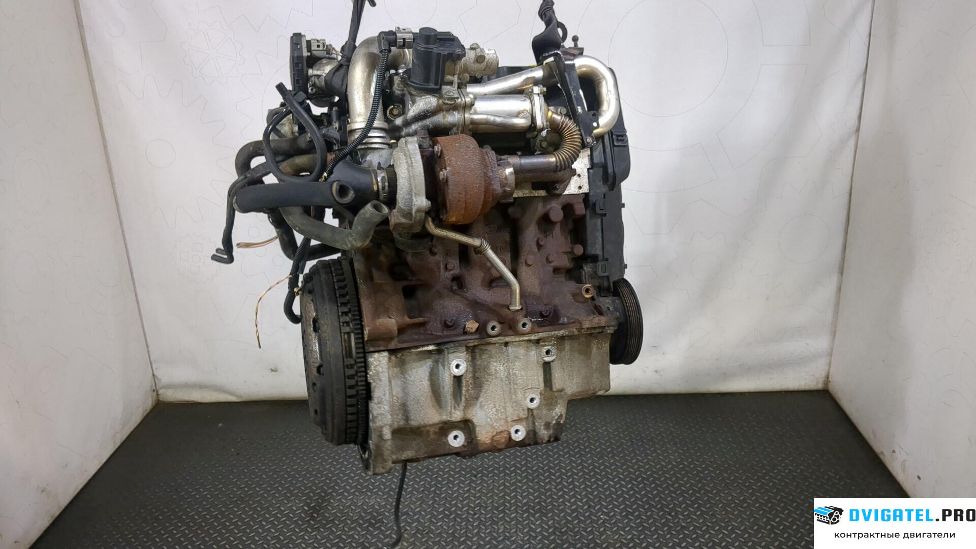 Двигатель Renault Scenic 2003 - 2009 K9K 732 1.5 л., Дизель, DCI, артикул 9235365