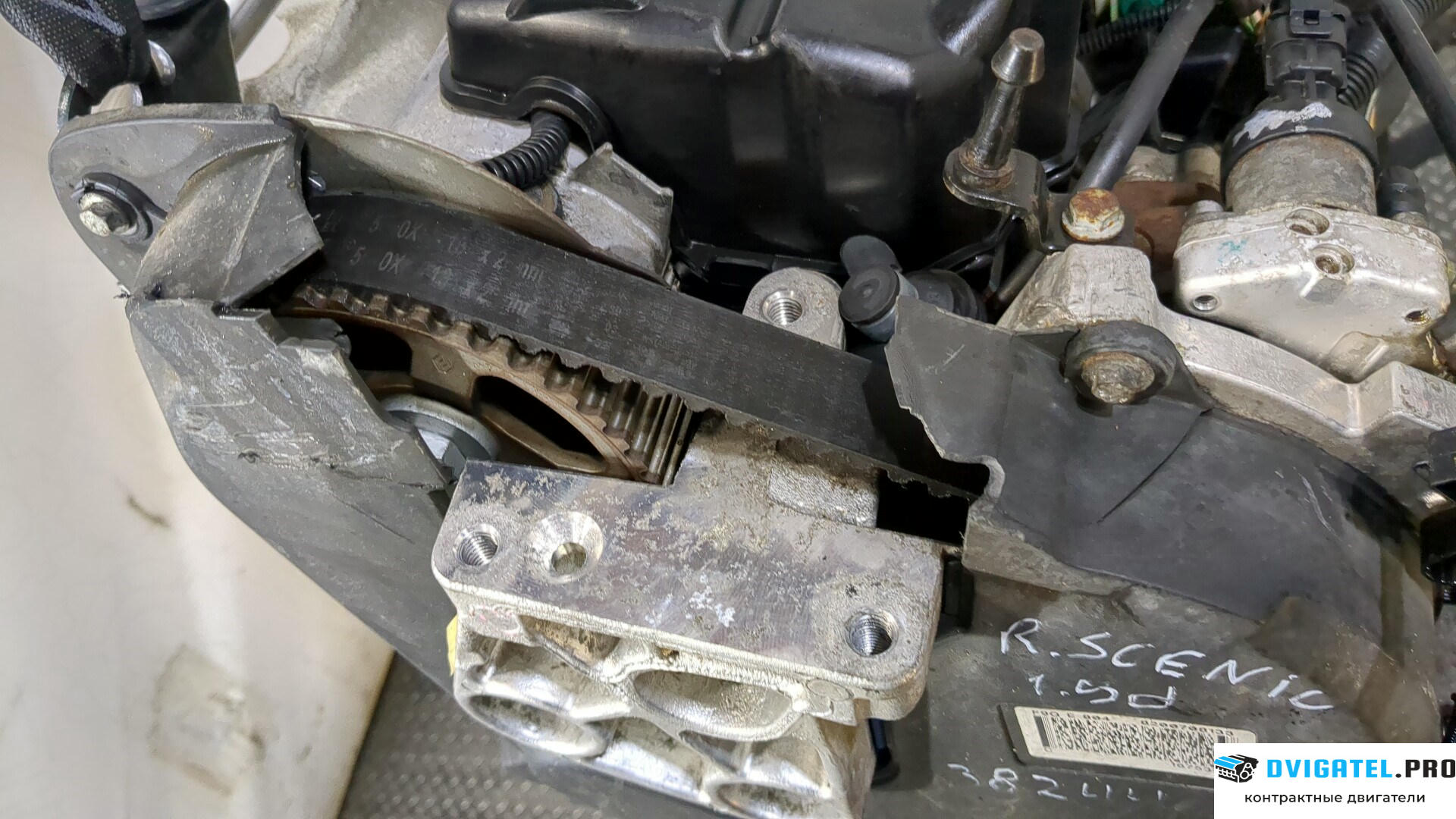 Двигатель Renault Scenic 2003 - 2009 F9Q 804 1.9 л., Дизель, DCI, артикул 8977742