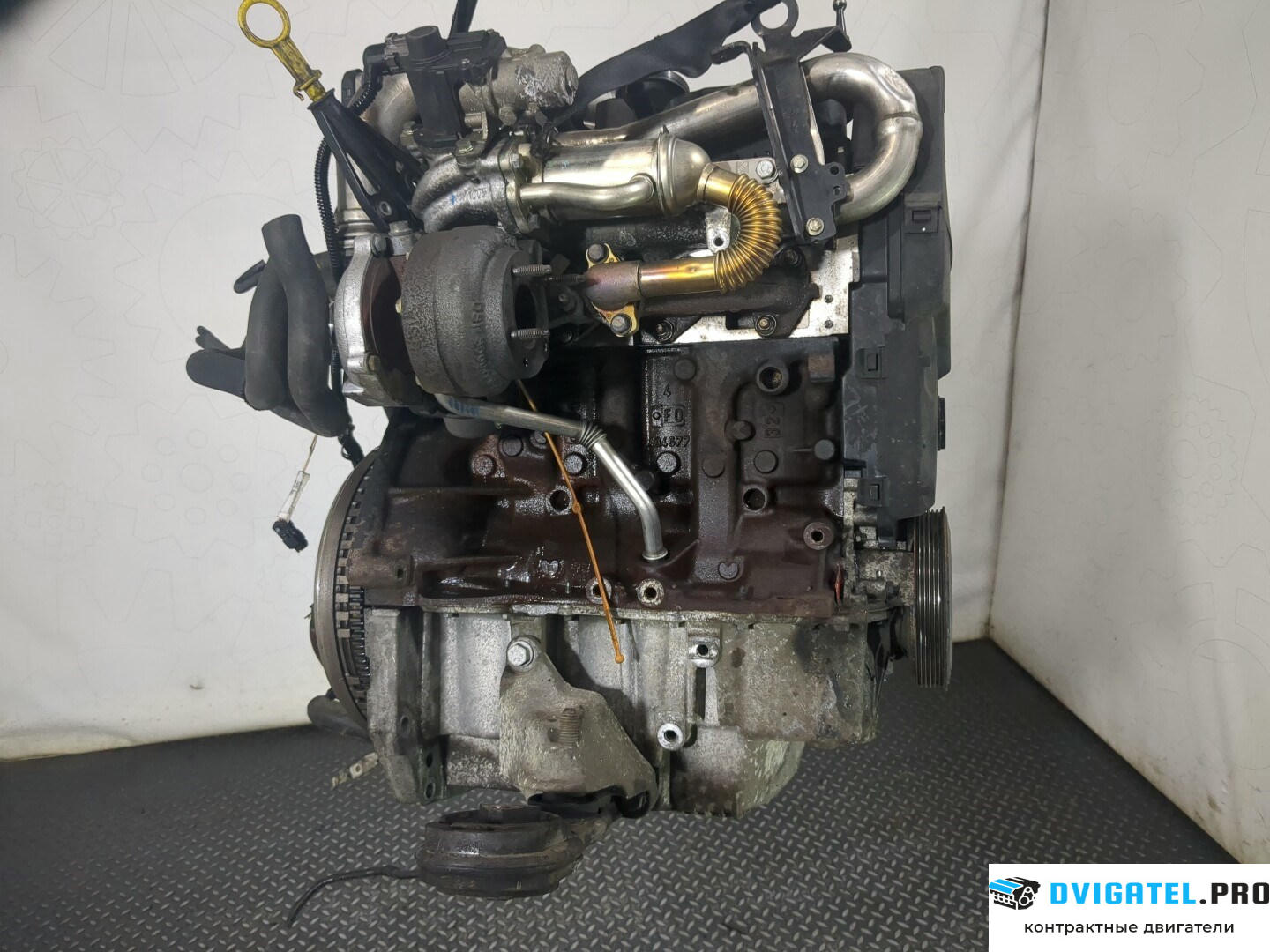 Двигатель Renault Scenic 2003 - 2009 K9K 732 1.5 л., Дизель, DCI, артикул 8629157